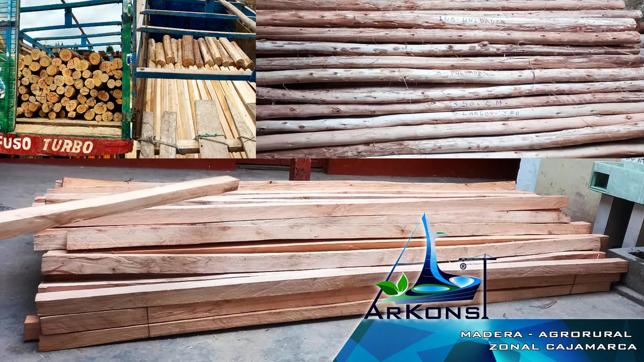 p33-abastecimiento-madera-rolliza-aserrada
